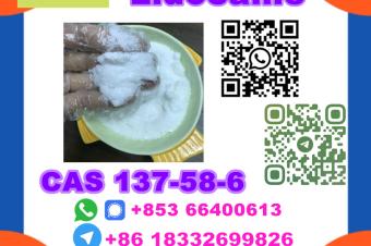  Manufacturer Supply Raw Material CAS 137586 Lidocaine